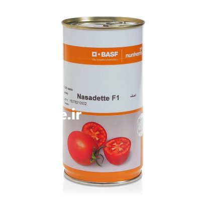 بذر گوجه ناسادت در همدان در گروه خرید و فروش بذر گوجه در یکمیوه -عکس1