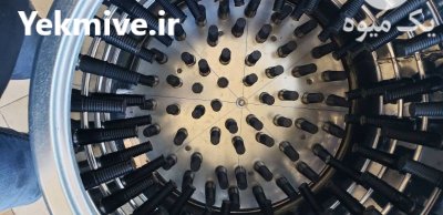 پرکن بلدرچین سایر طیور دارای بدنه در بیرجند در گروه تجهیزات مرغداری در یکمیوه -عکس1
