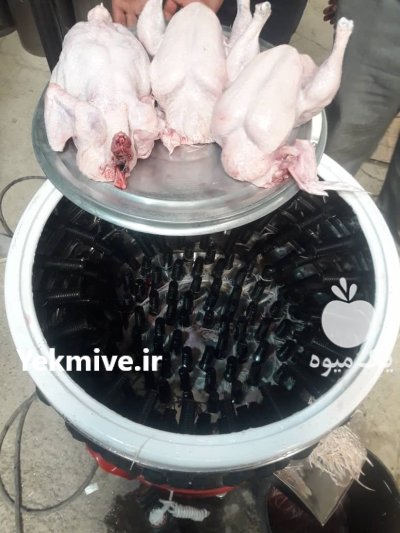 دستگاه پر کن مرغ حرفه ای در زنجان در گروه تجهیزات مرغداری در یکمیوه -عکس3