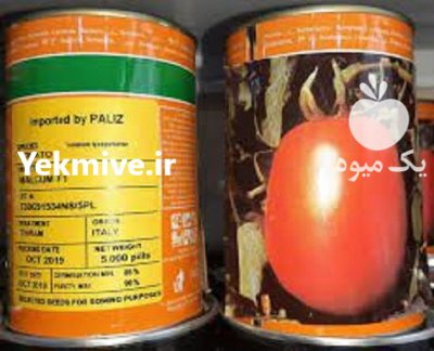 بذر گوجه مالکوم در دستجرد در گروه خرید و فروش بذر گوجه در یکمیوه -عکس1