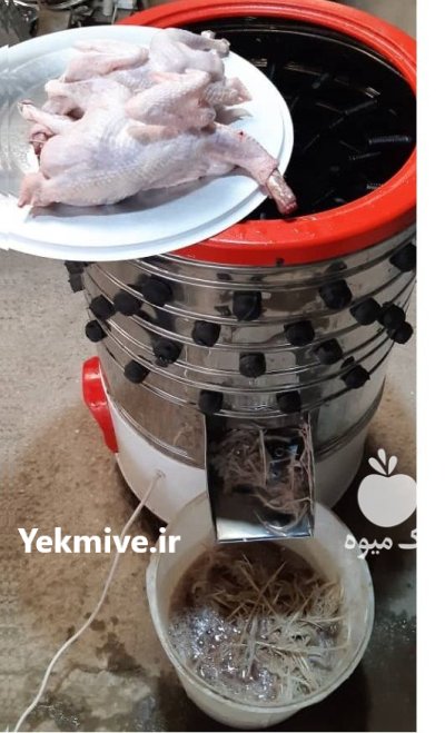 فروش دستگاه پرکن مخصوص طیور در مشهد در گروه تجهیزات مرغداری در یکمیوه -عکس3