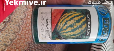 بذر هندوانه کریستون سویت در تهران در گروه خرید و فروش بذر هندوانه در یکمیوه -عکس1