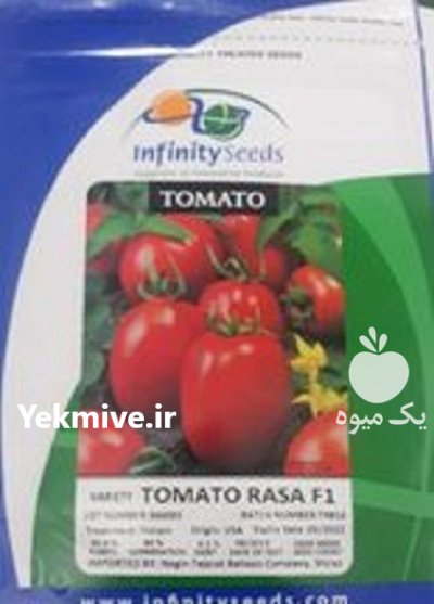 بذر گوجه راسا در سمنان در گروه خرید و فروش بذر گوجه در یکمیوه -عکس1