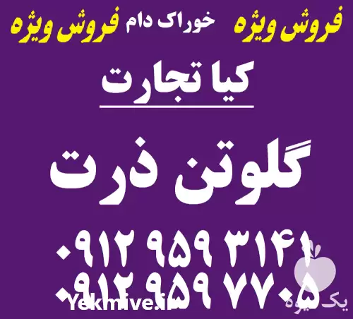قیمت خرید ویژه گلوتن ذرت در تهران در گروه خوراک دام و طیور در یکمیوه -عکس1