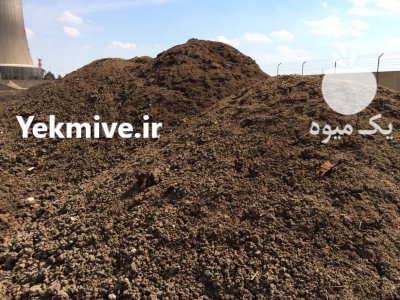 30 کامیون کود اسبی در تهران در گروه خرید و فروش کود دامی در یکمیوه -عکس1