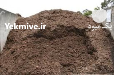 30 کامیون کود اسبی در تهران در گروه خرید و فروش کود دامی در یکمیوه -عکس2