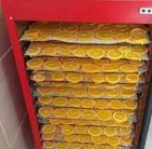 قیمت دستگاه خشک کن تونلی میوه در پاوه در گروه خرید و فروش دستگاه میوه خشک در یکمیوه