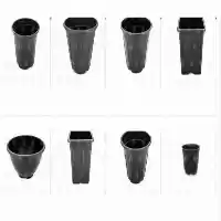 فروش گلدان کیسه ای بستر کشت در شیراز در گروه خرید و فروش گیاهان زینتی در یکمیوه