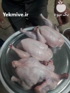 دستگاه پرکن مرغ حرفه ای معمولی در اراک در گروه تجهیزات مرغداری در یکمیوه