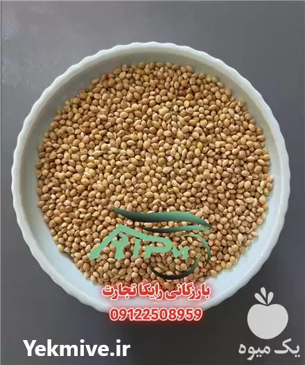 ارزن فروش ارزن در آستارا در گروه خرید و فروش غلات و حبوبات در یکمیوه -عکس1