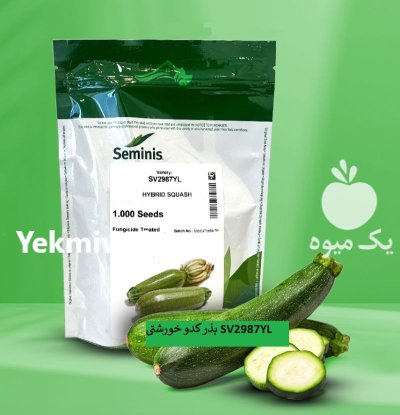فروش بذر کدو خورشتی SV 2987 YL سمینیس در اهواز در گروه خرید و فروش بذر کدو در یکمیوه -عکس1