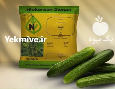 بذر خیار شهاب نیکرسون ارسال در اهواز در گروه خرید و فروش بذر خیار در یکمیوه -عکس1