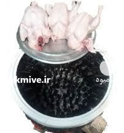 پرکن بلدرچین سایر طیور دارای بدنه در ایلام در گروه تجهیزات مرغداری در یکمیوه -عکس2