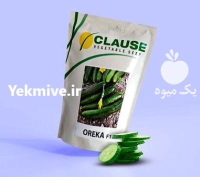 فروش بذر خیار OREKA کلوز فرانسه در گروه خرید و فروش بذر خیار در یکمیوه -عکس1