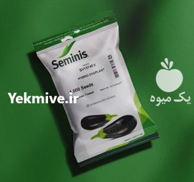 فروش بذر بادمجان Seminis SV 1574 در اهواز در گروه خرید و فروش بذر بادمجان در یکمیوه -عکس1