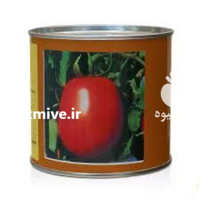 بذر گوجه فرنگی مالکوم در شیراز در گروه خرید و فروش بذر گوجه در یکمیوه -عکس1