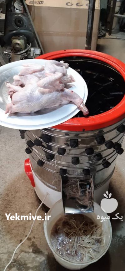 پرکن درجه یک بلدرچین و مرغ در تهران در گروه تجهیزات مرغداری در یکمیوه -عکس1