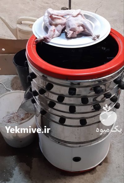 دستگاه پرکن طیور در تهران در گروه تجهیزات مرغداری در یکمیوه -عکس3