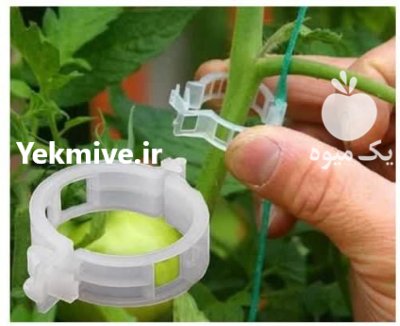 گیره و بست بوته گلخانه در تهران در گروه خرید و فروش تجهیزات گلخانه در یکمیوه -عکس2