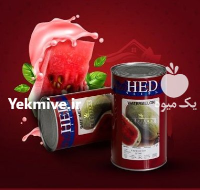 فروش بذر هندوانه چارلستون اچ ای در اهواز در گروه خرید و فروش بذر هندوانه در یکمیوه -عکس1