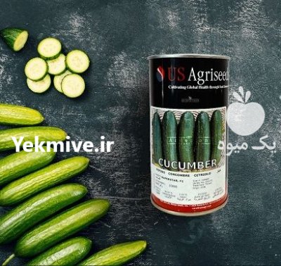 فروش بذر خیار Maximus F 1 یو در اهواز در گروه خرید و فروش بذر خیار در یکمیوه -عکس1