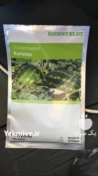 بذر هندوانه Karistan اسال به سراسر در گروه خرید و فروش بذر هندوانه در یکمیوه -عکس1