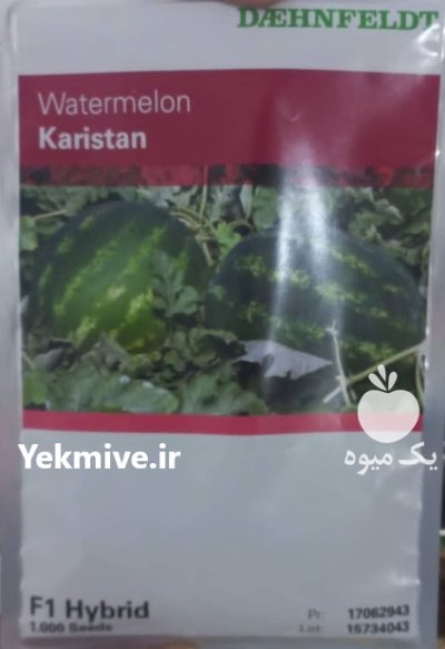 فروش بذر هندوانه زودرس کاریستان در اهواز در گروه خرید و فروش بذر هندوانه در یکمیوه -عکس1