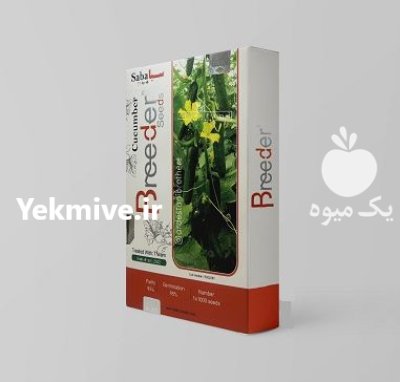 فروش بذر خیار saba breeder در اهواز در گروه خرید و فروش بذر خیار در یکمیوه -عکس1