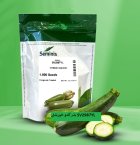 فروش بذر کدو خورشتی SV 2987 YL سمینیس در اهواز در گروه خرید و فروش بذر کدو در یکمیوه