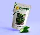 فروش بذر خیار OREKA کلوز فرانسه در گروه خرید و فروش بذر خیار در یکمیوه