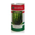 بذر هندوانه کریمسون سوئیت ناسکو در گروه خرید و فروش بذر هندوانه در یکمیوه