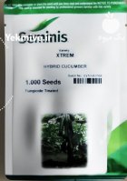 فروش بذر خیار سوپر سلطان 1000 در اهواز در گروه خرید و فروش بذر خیار در یکمیوه