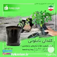 فروش کیسه نهال گلدانی گروبگ در شیراز در گروه خرید و فروش گیاهان زینتی در یکمیوه
