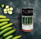 فروش بذر خیار Maximus F 1 یو در اهواز در گروه خرید و فروش بذر خیار در یکمیوه