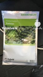 بذر هندوانه Karistan اسال به سراسر در گروه خرید و فروش بذر هندوانه در یکمیوه