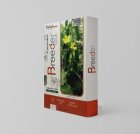 فروش بذر خیار saba breeder در اهواز در گروه خرید و فروش بذر خیار در یکمیوه