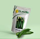 فروش بذر خیار Officer F 1 CLAUSE در اهواز در گروه خرید و فروش بذر خیار در یکمیوه