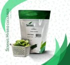 فروش بذر خیار SEMINIS SV 4196 CD F 1 در اهواز در گروه خرید و فروش بذر خیار در یکمیوه