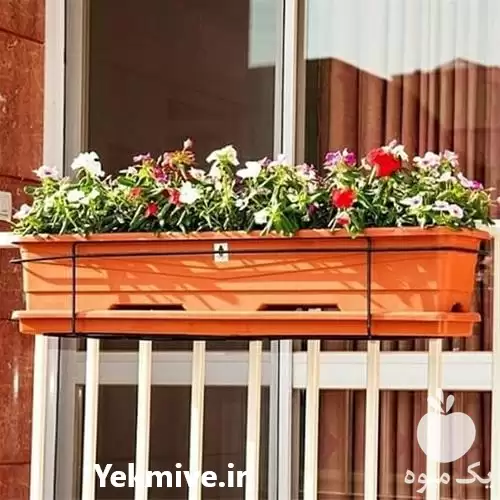 قیمت خرید گلدان مستطیل آویزی در تهران در گروه خرید و فروش گیاهان زینتی در یکمیوه -عکس1