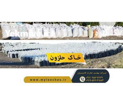 فروش بهترین خاک برای انواع حلزون در سنندج در گروه انواع محصولات خاک و تغذیه در یکمیوه -عکس1