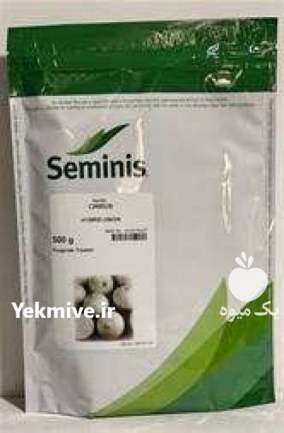 بذر پیاز سفید سایروس در کرمان  در گروه خرید و فروش بذر پیاز در یکمیوه -عکس1