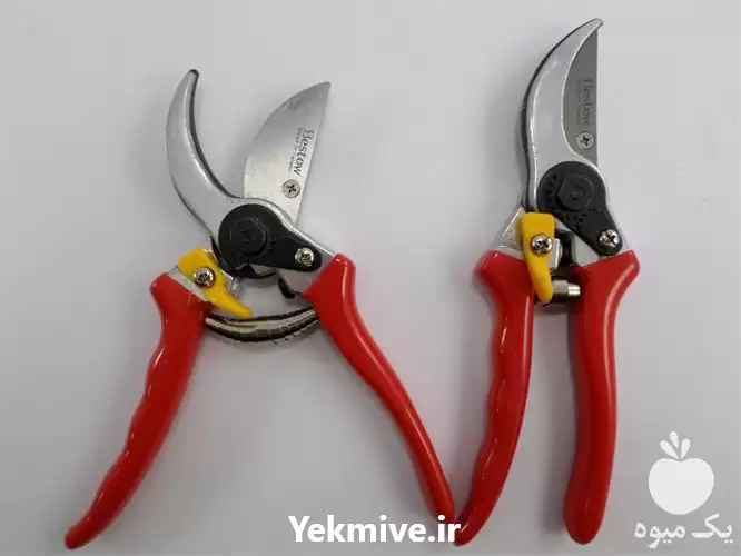 قیمت خرید قیچی باغبانی بستو در گروه خرید و فروش لوازم باغبانی در یکمیوه -عکس1