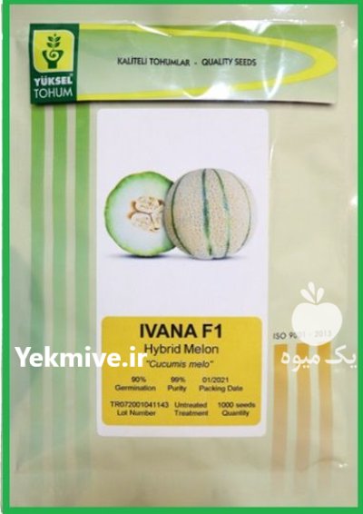 فروش بذر خربزه سمسوری ایوانا یوکسل در اهواز در گروه خرید و فروش بذر خربزه در یکمیوه -عکس1