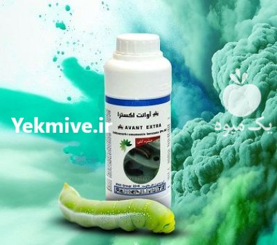 فروش سم حشره کش Avant Extra در گروه خرید و فروش انواع سم در یکمیوه -عکس1