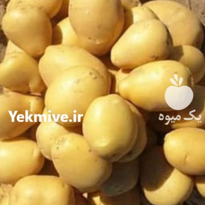 خرید و فروش محصولات کشاورزی ابوالفضل خورشیدی در همدان در گروه خرید و فروش محصولات کشاورزی در یکمیوه -عکس1