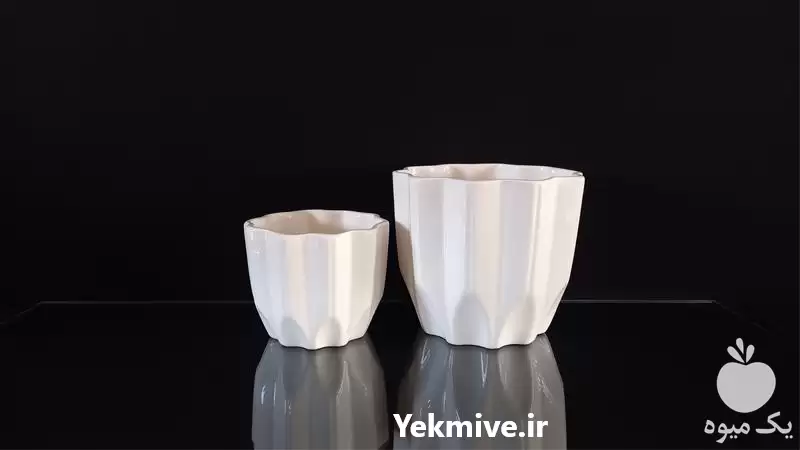 قیمت خرید تولید گلدان در گروه خرید و فروش گیاهان زینتی در یکمیوه -عکس1