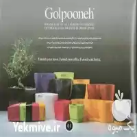 قیمت خرید انواع گلدان رنگی جدید در گروه خرید و فروش گیاهان زینتی در یکمیوه