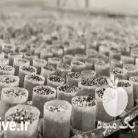 پرلیت فروش جیفی در تهران در گروه خرید و فروش انواع کود کشاورزی در یکمیوه