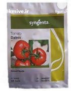 بذر گوجه گلخانه ای دافنیس در گروه خرید و فروش بذر گوجه در یکمیوه