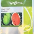 بذر هندوانه گالینا در هرمزگان در گروه خرید و فروش بذر هندوانه در یکمیوه